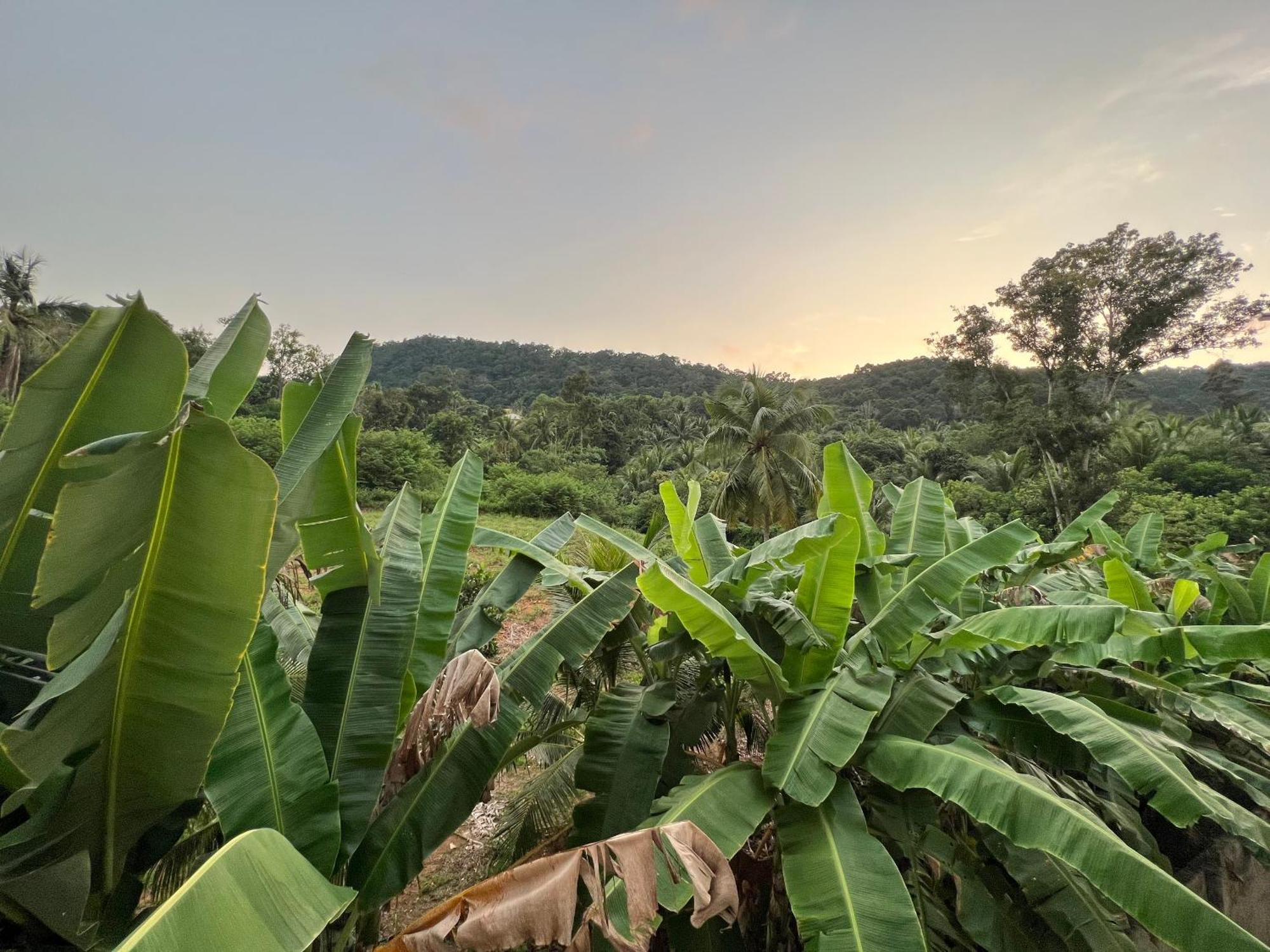 Bungalow Sang Tuoi Mountains Phu Quoc Dış mekan fotoğraf